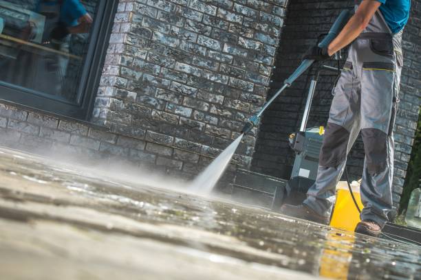 Best Fence Cleaning  in Iceville, AL