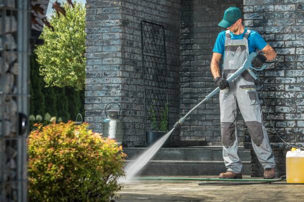 Best Graffiti Removal  in Iceville, AL