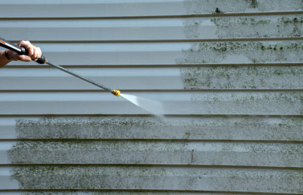 Professional Pressure Washing in Aliceville, AL